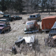 Illustration for article titled Forgotten stash of project cars goes up for auction